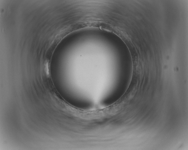 X0000077290042200610201145