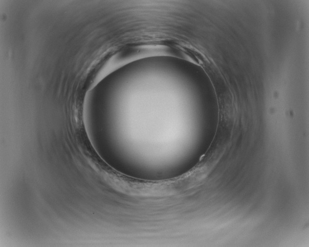 X0000077290044200610201145