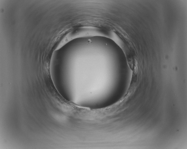 X0000077290045200610201145
