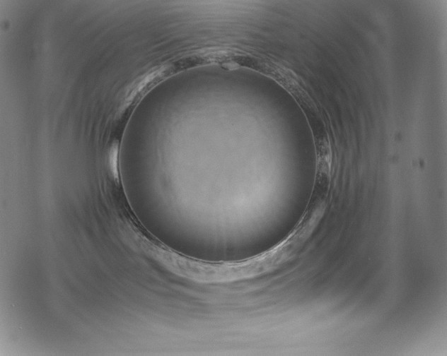 X0000077290047200610201145