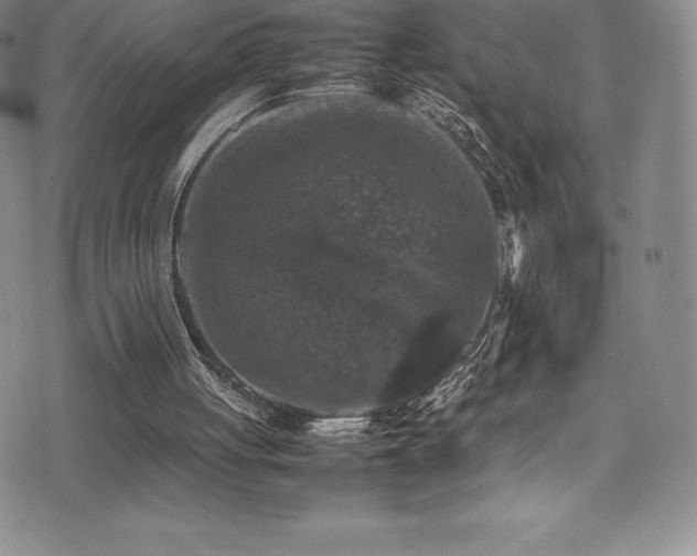 X0000077290051200610201144