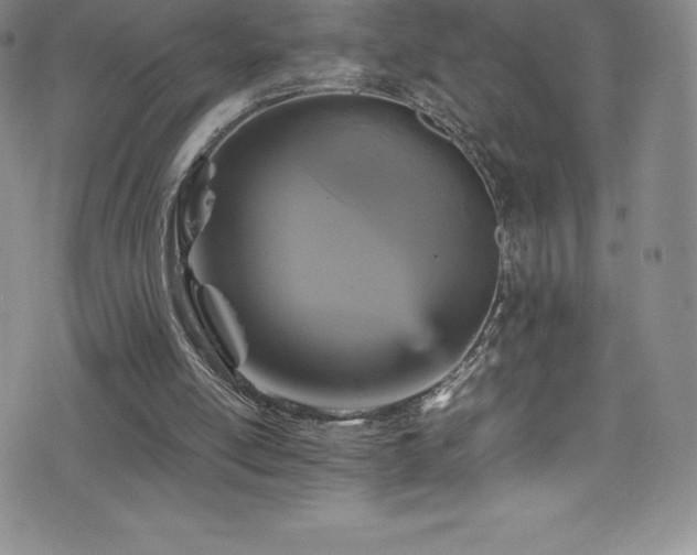 X0000077290054200610201144