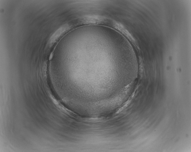 X0000077290058200610201144