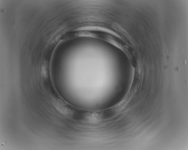 X0000077290074200610201145