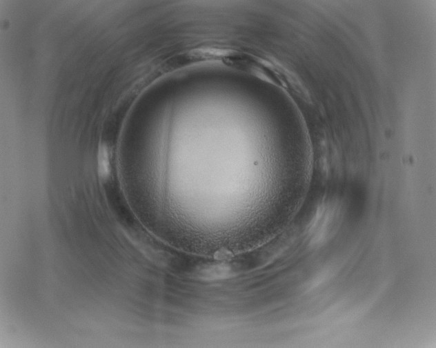 X0000077290075200610201145