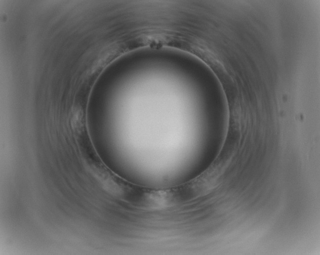 X0000077290079200610201145