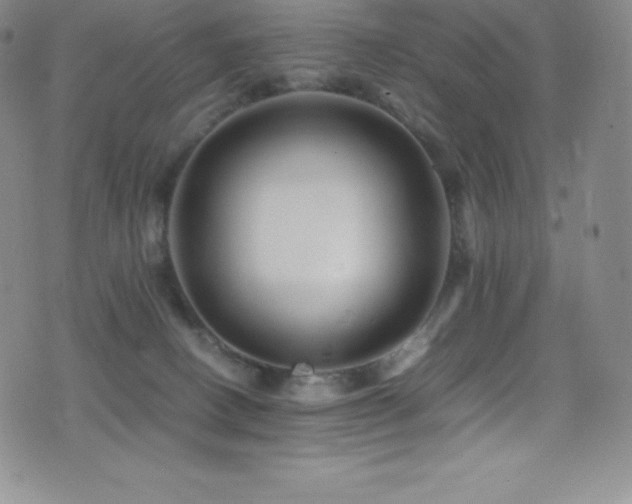 X0000077290082200610201145