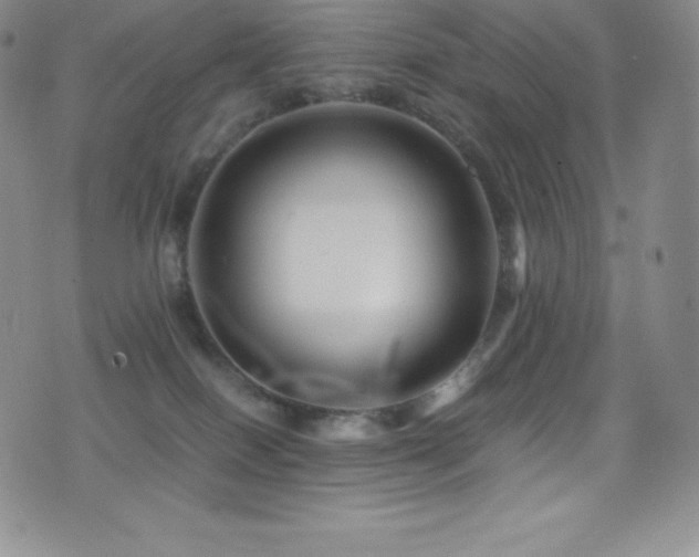 X0000077290086200610201145