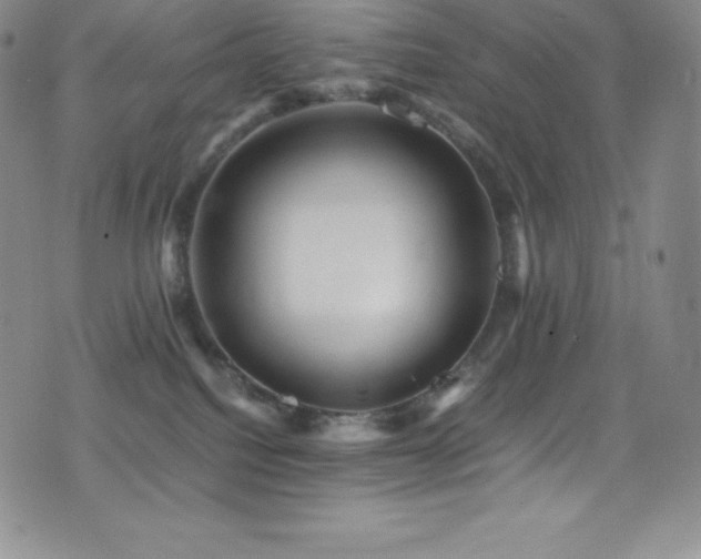 X0000077290088200610201145