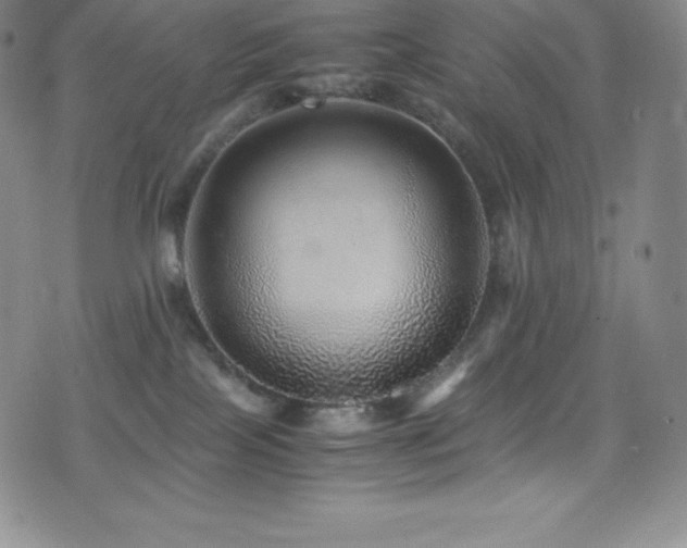 X0000077290089200610201145