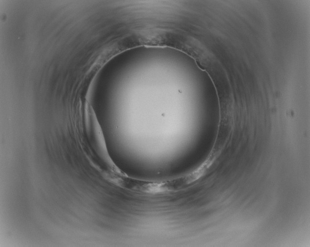 X0000077290090200610201145