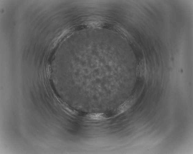 X0000077290093200610201145