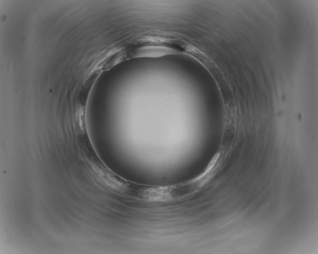 X0000077290094200610201145