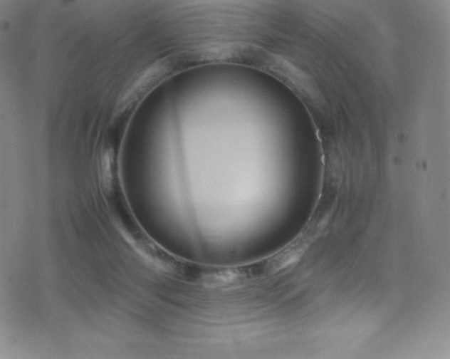 X0000077290118200610201144