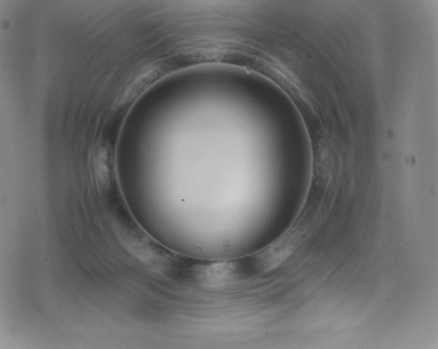 X0000077290122200610201144