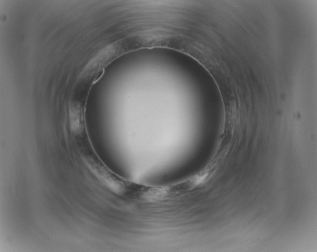 X0000077290138200610201143