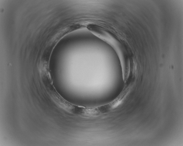 X0000077290141200610201143