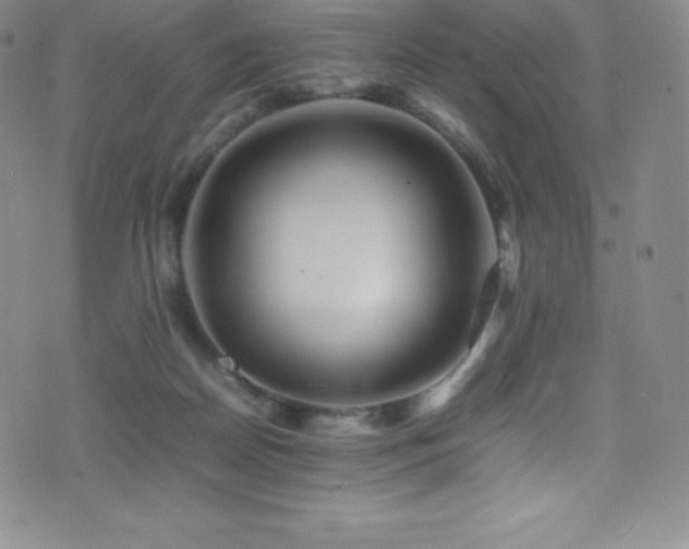 X0000077290170200610201143