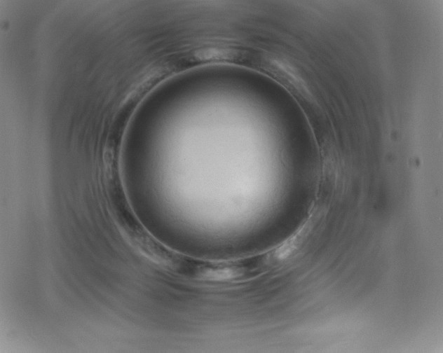 X0000077290171200610201143