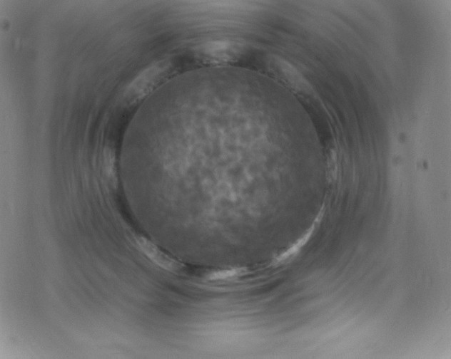 X0000077290178200610201143