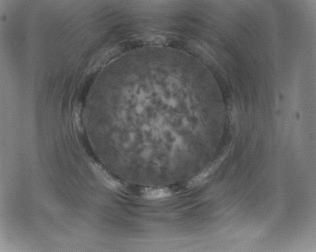 X0000077290185200610201143
