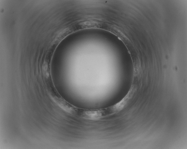X0000077290187200610201143