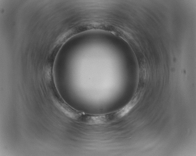 X0000077290188200610201143