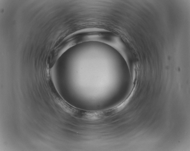 X0000077290190200610201143