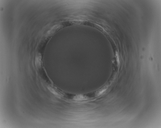 X0000077290231200610201142