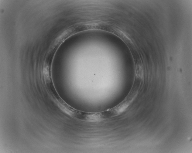 X0000077290238200610201142