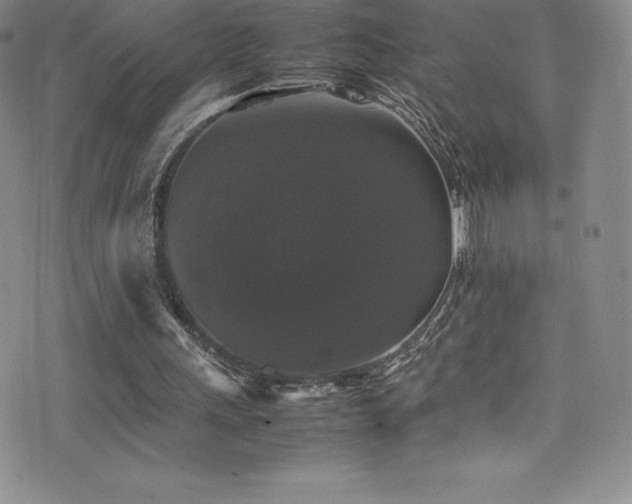 X0000077290243200610201141