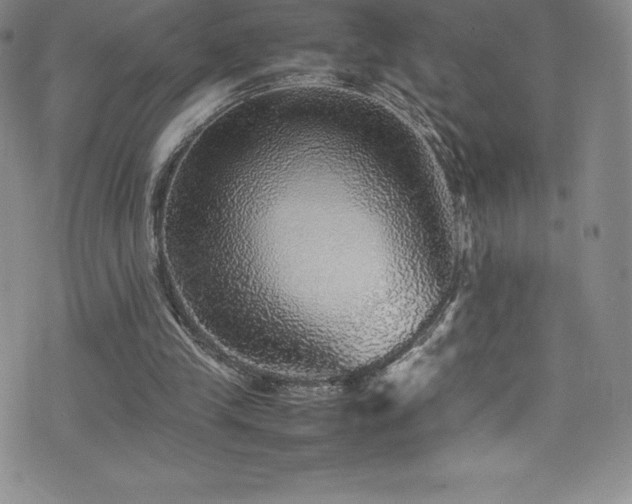 X0000077290245200610201141
