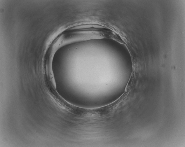 X0000077290248200610201141