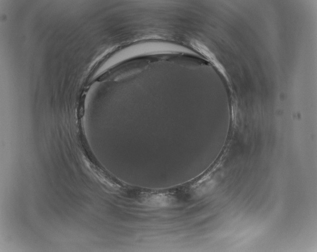 X0000077290249200610201141