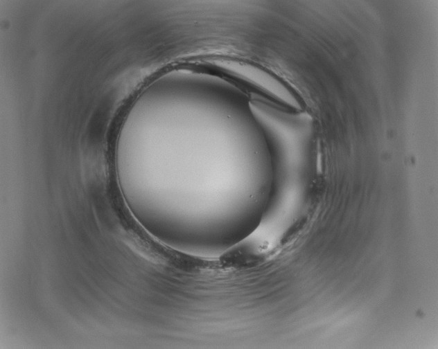 X0000077290252200610201141