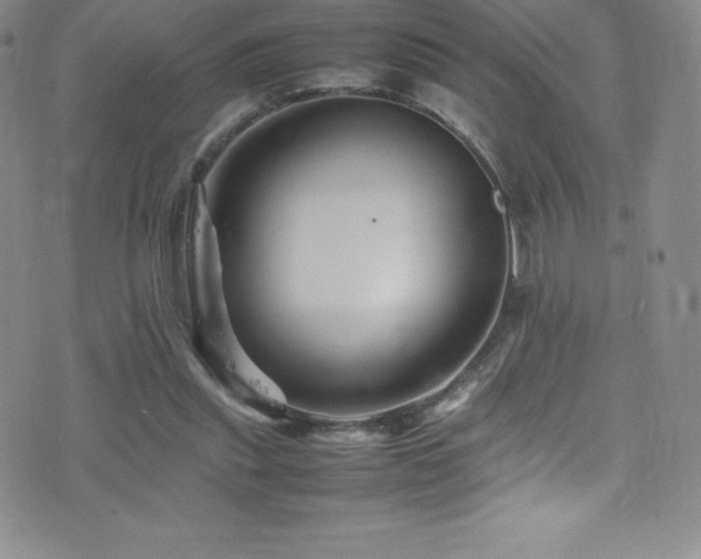 X0000077290253200610201141