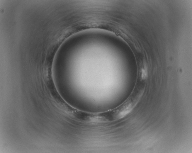 X0000077290268200610201141