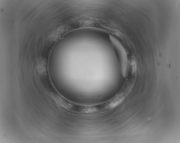 X0000077290274200610201142