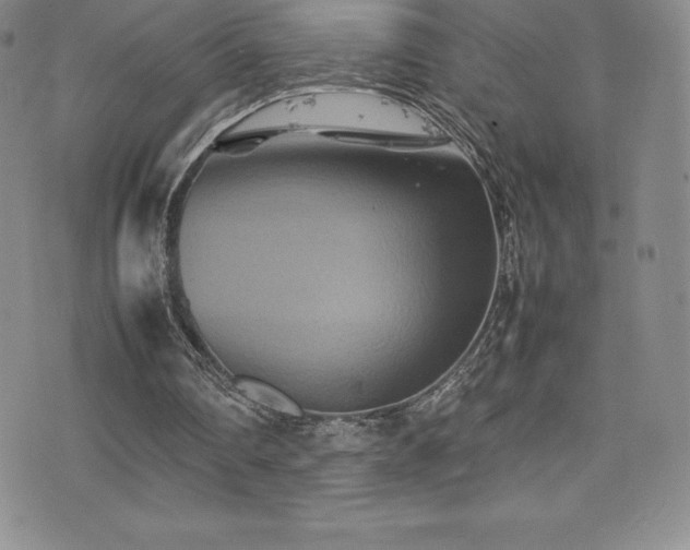 X0000077290290200610201141