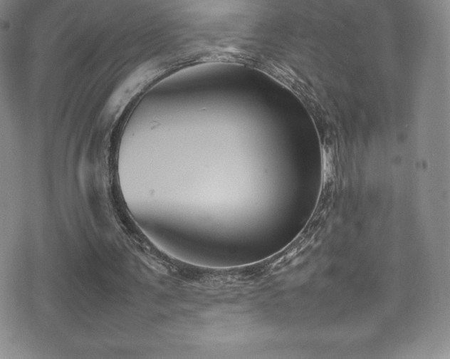 X0000077290291200610201141