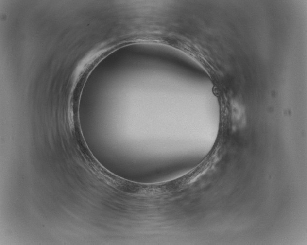X0000077290294200610201141