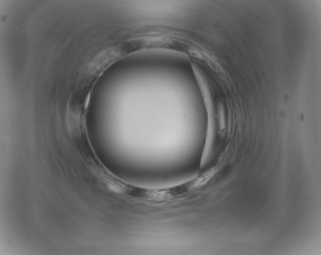 X0000077290333200610201140