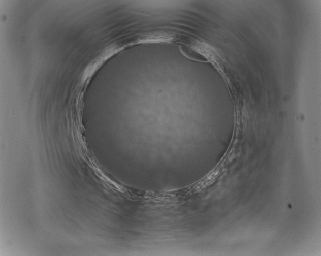 X0000077290337200610201139