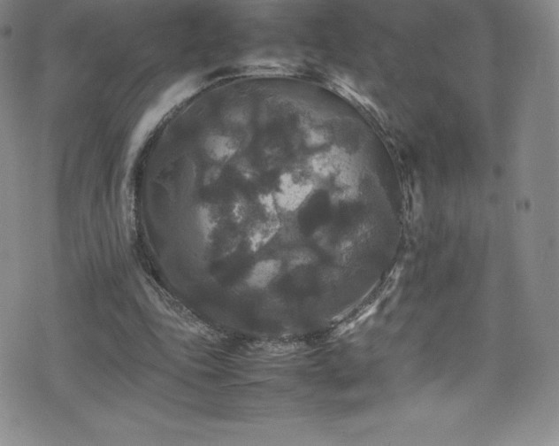 X0000077290343200610201139