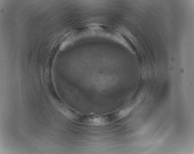 X0000077290365200610201140