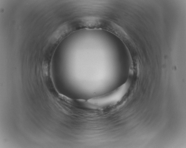 X0000077290368200610201140