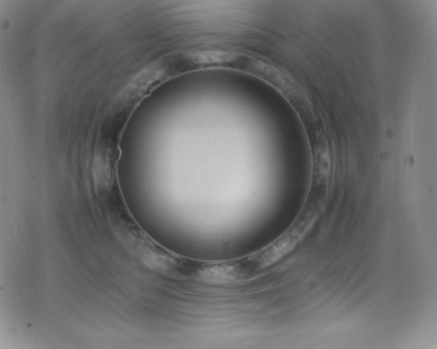 X0000077290422200610201139
