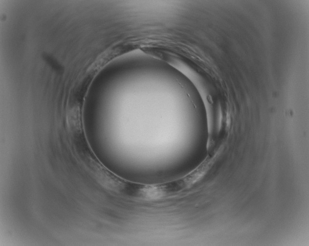 X0000077290425200610201139