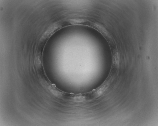X0000077290426200610201139