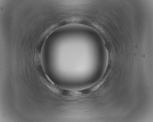 X0000077290429200610201139
